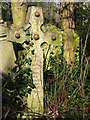 Abney Park Cemetery, Stoke Newington