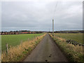 Looking east along farm track to Ord Mains