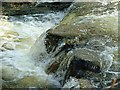 Waterfall on the Rhiw near Llanllugan