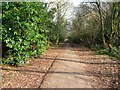 Tiverton : Railway Line Path