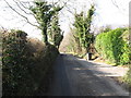 The lower western stretch of Carrick Road