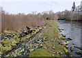 NH5353 : Along the weir to Dunglass Island by Craig Wallace