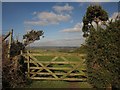 Gateway, Nattadon Common