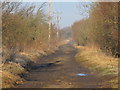 NY6358 : The trackbed of Lord Carlisle's Railway near Midgeholme by Mike Quinn