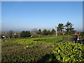 The grounds of the former Poor Clare Convent at Mayobridge