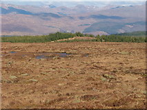NM7857 : Liddesdale plantation from Taobh Dubh by Richard Laybourne