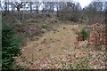 Disused Quarry near Anchor Farm