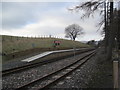 NY6850 : Lintley Halt, South Tyne Railway by Les Hull
