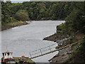 River Wear looking East from Cox Green