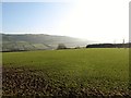 Sheep grazing land south of the Clontafleece Road