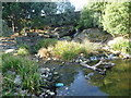 Otter enclosure, London Wetland Centre