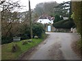 Stream and green in Combe