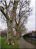 TQ2576 : Footpath at the edge of Eel Brook Common by Stefan Czapski