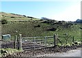 Sheep grazings on the lower slope of Ballyvally Mountain