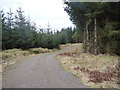 Forest track above Upper Dullarg