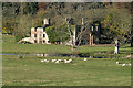 A ruined mansion house at Elliston