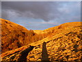 NS6180 : Sunset glow - Upper Campsie Glen by Alan O'Dowd