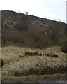 Cutting and hillside near Buxworth