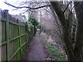 Path by a small brook, Shottery