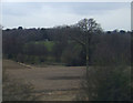 Farmland and woodland near Toad Hall