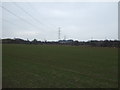 Farmland near Alsager