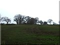 Farmland off Holmshaw Lane