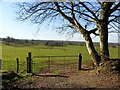 Bancran Townland