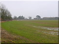 Fields at Copse Farm