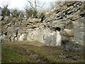 Limestone wall of the old Salthill Quarry