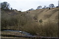 Where Woo Dale meets Wye Dale