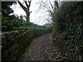 Hillside path in Llandogo