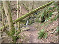 Path below Cleddon Shoots above the Wye Valley near Llandogo