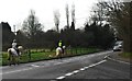 Horses and riders on the A281, Rudgwick