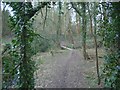 Footbridge on Public Footpath FP1628/3