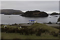 Sheep guarding the slip way at Tarbet