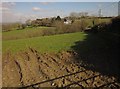 Field at New Cross