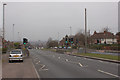 Pedestrian Crossing, Scott Hall Road