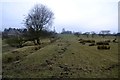 Footpath to West Moor House, Middleton