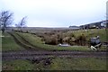 Duck pond and track Hollingley Farm