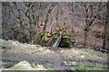 Footpath in Fairy Dell above Bow Beck Gill