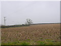 Fields at Rhodes House Farm