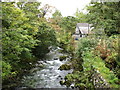 NY3204 : Great Langdale Beck, Elterwater by David Purchase