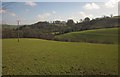 Countryside near Black Hall