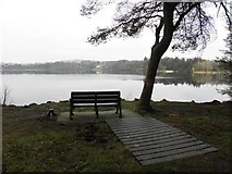 H5775 : Seat at Loughmacrory Lough by Kenneth  Allen