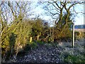 Footpath Towards Tenter Hill