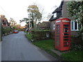 Sutton Waldron: the telephone box