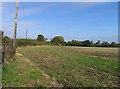 Field between Owthorpe Road and Swab