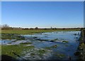 SK7918 : Very wet field near to Wyfordby by Andrew Tatlow