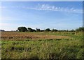 Fields south of High Cross Lane