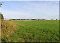 Fields north of High Cross Lane